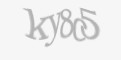 Защитный код